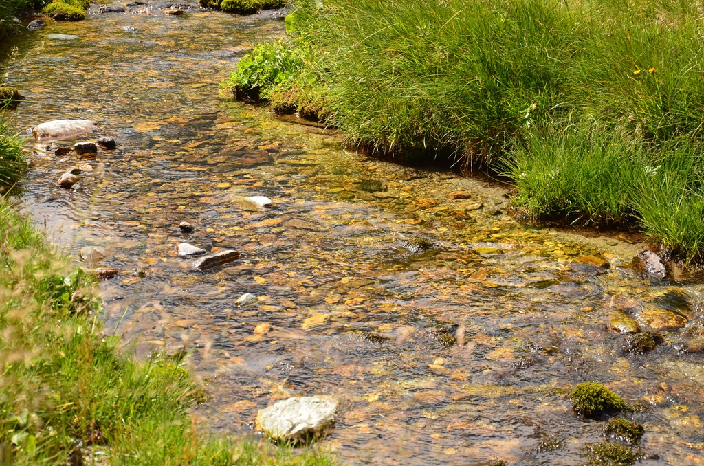 2015-07 Savoie/Refuge du saut/DSC_0263.JPG